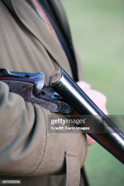 Loaded 12 bore shotgun broken and held in crook of arm at a pheasant shoot.