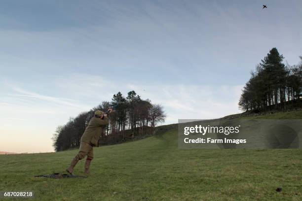 Shooters, using 12 bore shotgun, on a pheasant shoot in the Yorkshire Dales, UK.