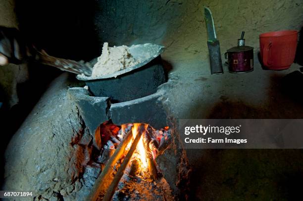 Small Fire In Kitchen Small Fire Photos and Premium High Res Pictures - Getty Images