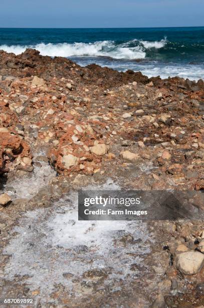 Salt On Rocks 8,904 Hot Salt Stock Photos, High-Res Pictures, and Images - Getty Images