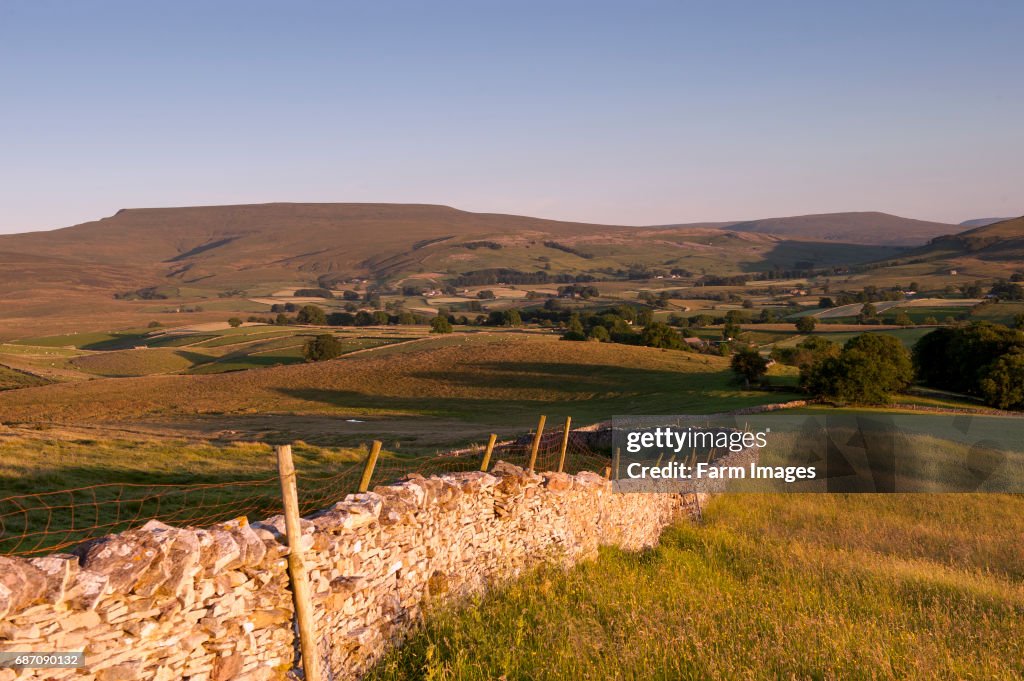 Wild Boar fell near Ravenstonedale, at the head of the Eden Valley, on a summers evening, Cumbria, UK