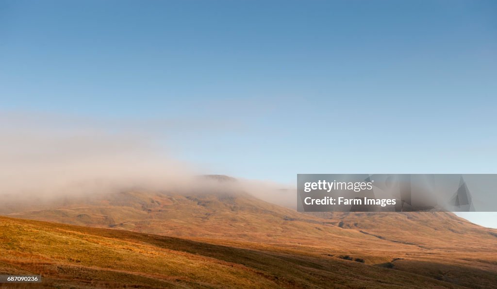 Wild Boar Fell, covered in early morning mist, upper Eden Valley, Kirkby Stephen, Cumbria, UK.