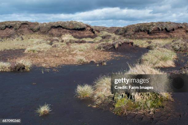 Moorland habitat with peat hags on Fleet Moss above Hawes, North Yorkshire, UK.