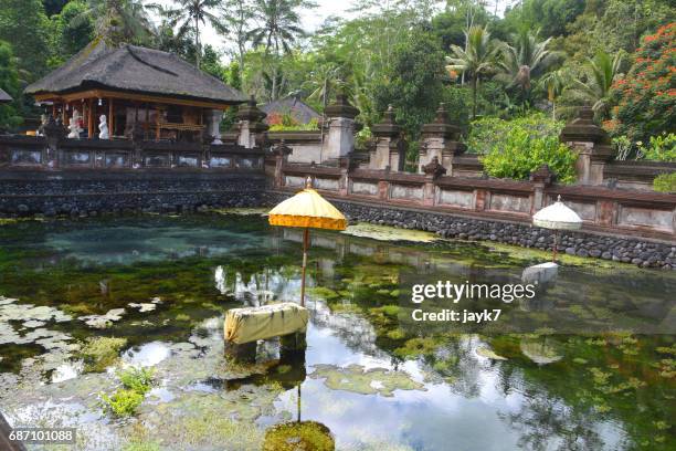 tirta empul temple - jayk7 bali stock pictures, royalty-free photos & images