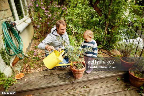 father and little daughter watering plant on terrace - babyhood - fotografias e filmes do acervo