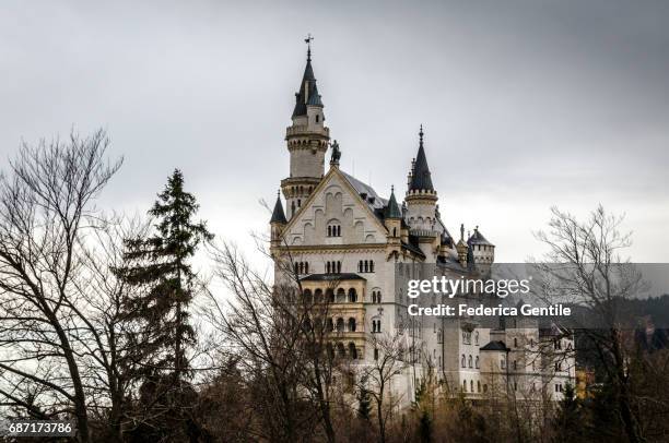 neuschwanstein castle - albero spoglio stock-fotos und bilder