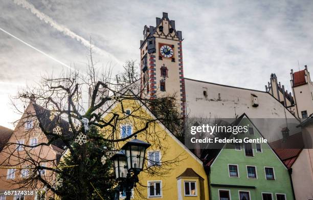 füssen - albero spoglio stock-fotos und bilder