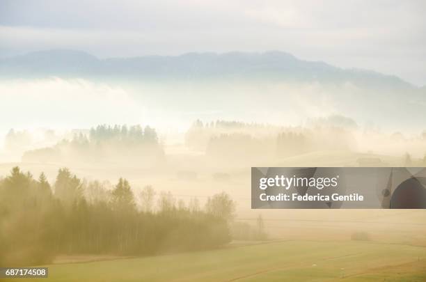 bavarian countryside - mattina stockfoto's en -beelden