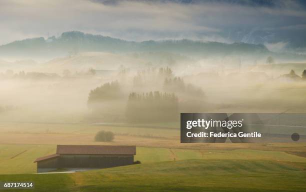 bavarian countryside - mattina stock-fotos und bilder