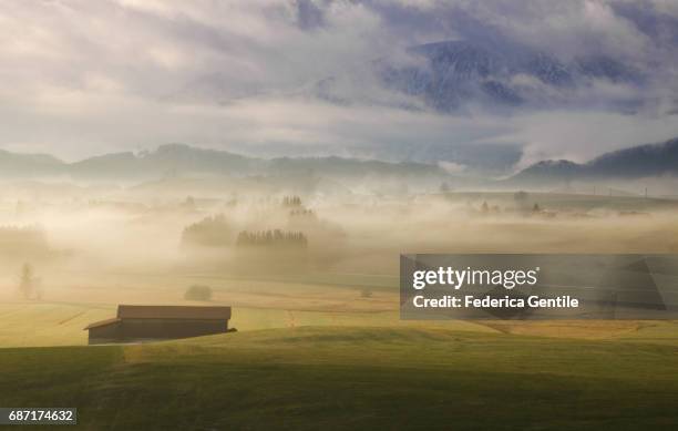 bavarian countryside - mattina stock pictures, royalty-free photos & images