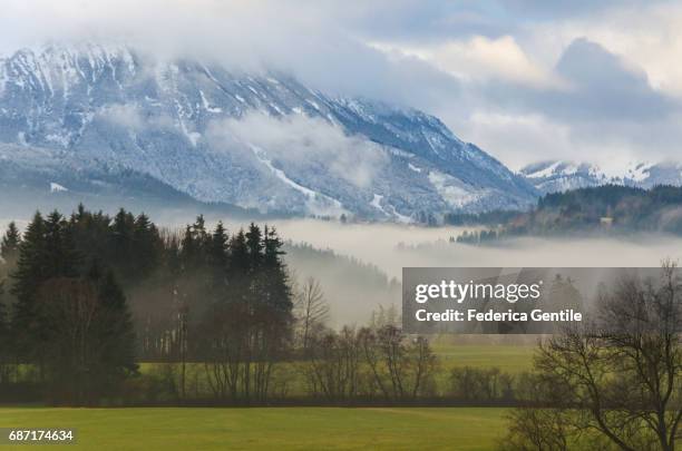 bavarian countryside - mattina stockfoto's en -beelden