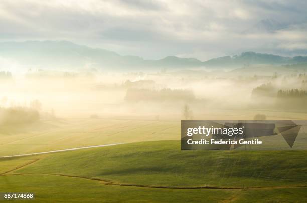bavarian countryside - strada di campagna stock pictures, royalty-free photos & images