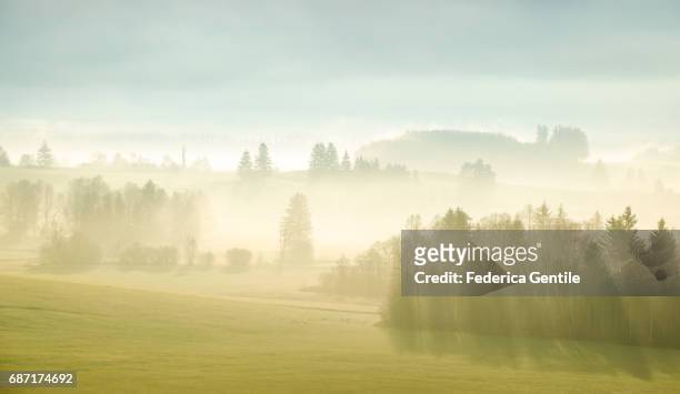 bavarian countryside - mattina stock-fotos und bilder