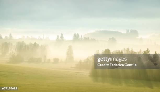 bavarian countryside - mattina stock pictures, royalty-free photos & images