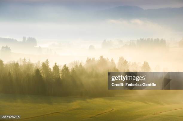 bavarian countryside - mattina stock-fotos und bilder