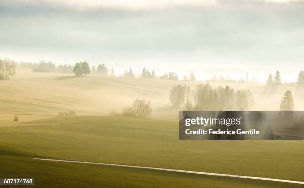 bavarian countryside - mattina stockfoto's en -beelden