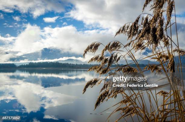 hopfensee - mattina stock pictures, royalty-free photos & images