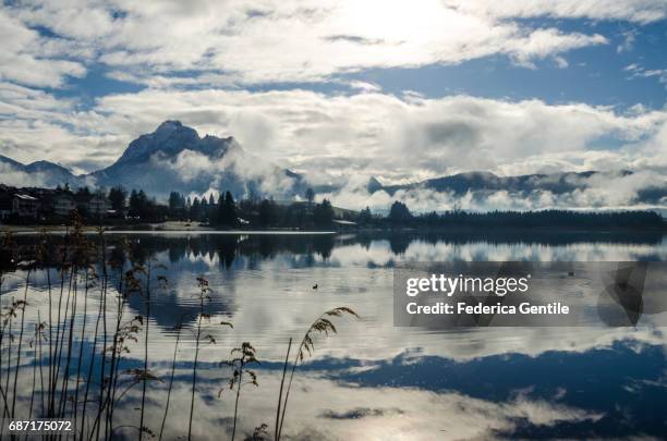 hopfensee - mattina bildbanksfoton och bilder