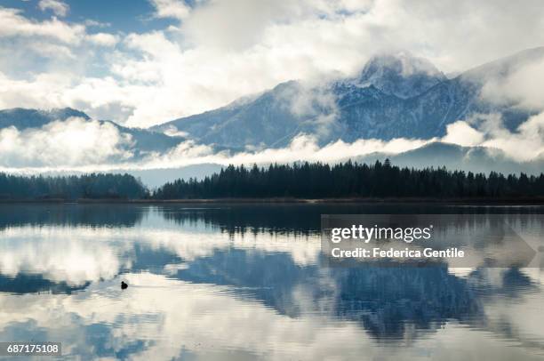 hopfensee - mattina stock pictures, royalty-free photos & images