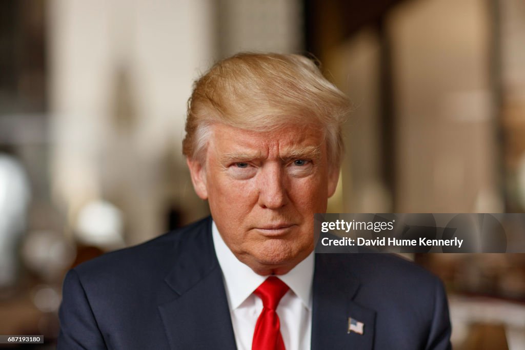 Portrait Of Donald Trump