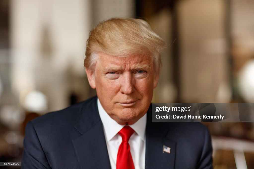 Portrait Of Donald Trump