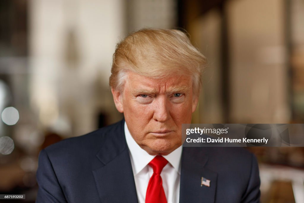Portrait Of Donald Trump