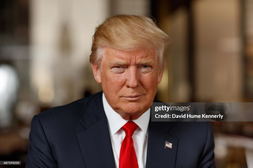 Portrait Of Donald Trump