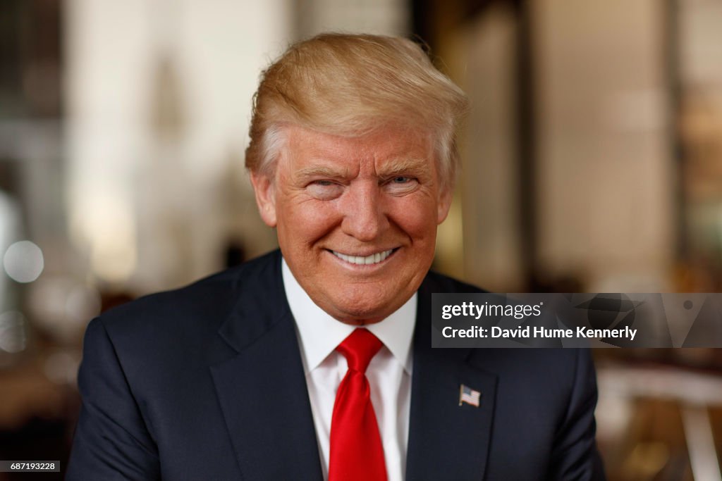 Portrait Of Donald Trump