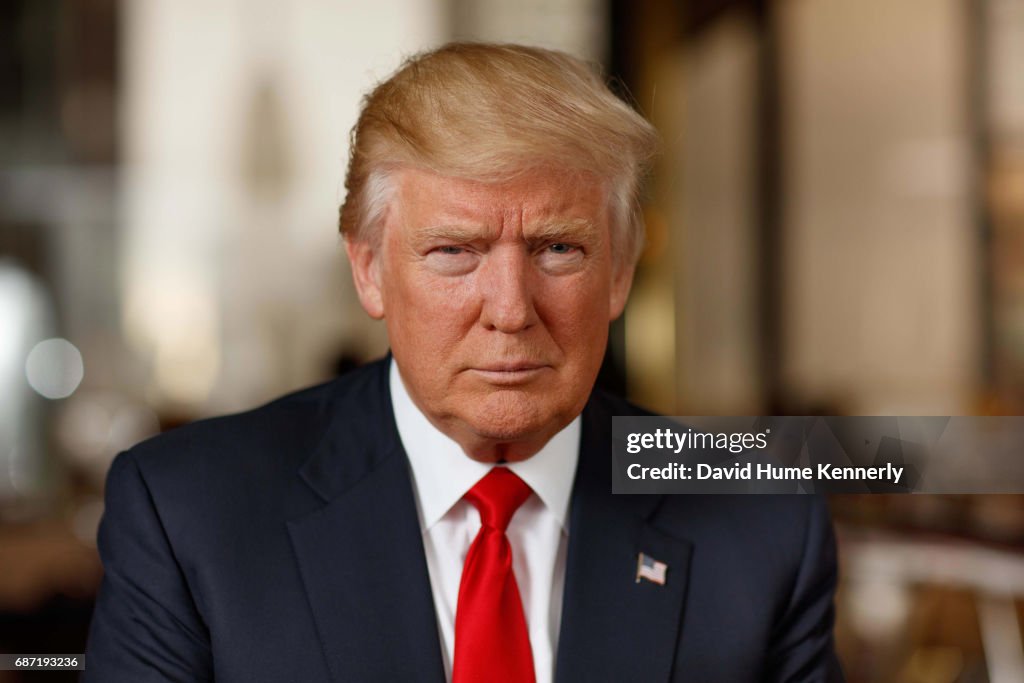 Portrait Of Donald Trump