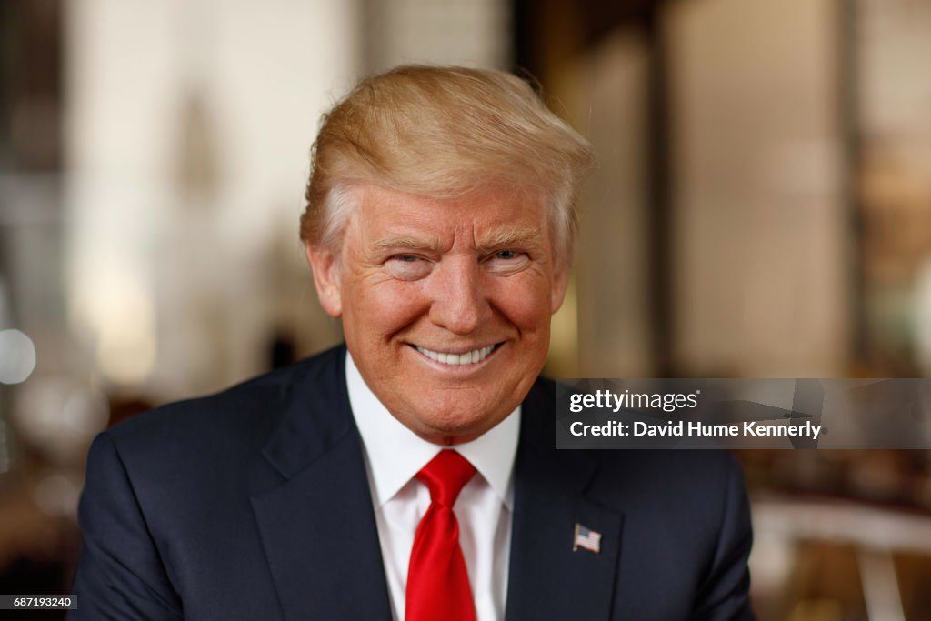 Portrait Of Donald Trump