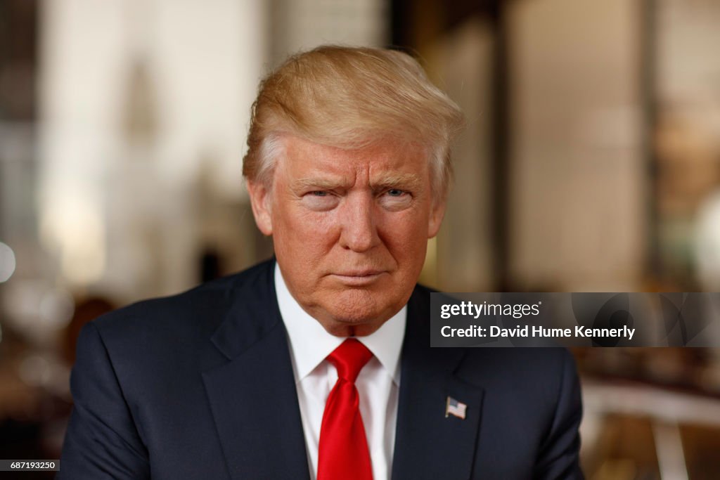 Portrait Of Donald Trump