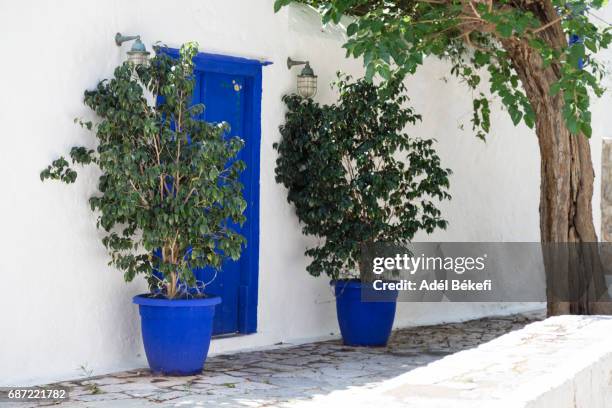 flower pots in greece - benjamin stock-fotos und bilder