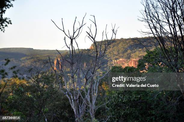 galharia e paredão - montanha stockfoto's en -beelden