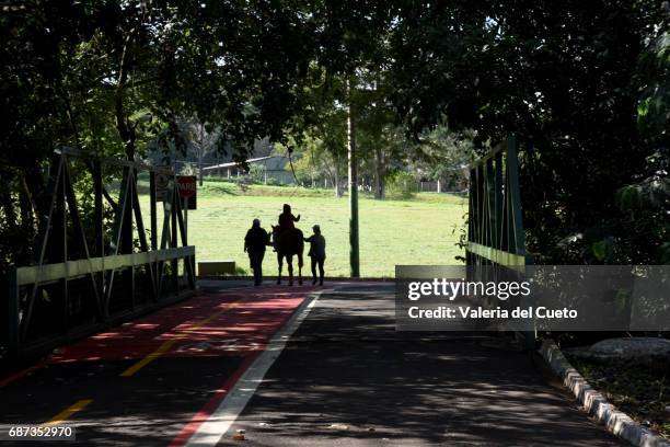 passagem - cena rural stock pictures, royalty-free photos & images