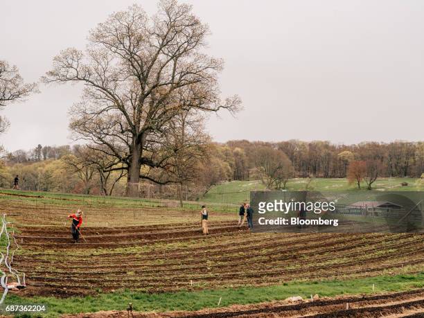 Workers plow fields at the Stone Barns farm in Pocantico Hills, New York, U.S., on Friday, April 21, 2017. As customers are increasingly demanding...
