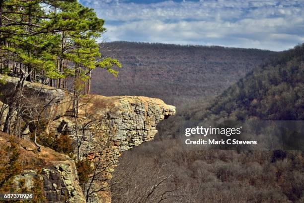 hawksbill crag (whitaker point) - v arkansas stock pictures, royalty-free photos & images