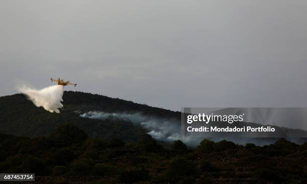 Vigili del Fuoco Canadair water bomber seen from below while it contains the fires - arsons, almost surely - that burnt oown more than 1400 acres of...