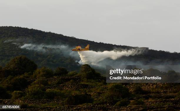 Vigili del Fuoco Canadair water bomber seen from below while it contains the fires - arsons, almost surely - that burnt oown more than 1400 acres of...