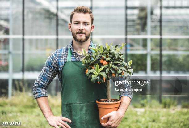portrait of a worker in the gardenia center - professional landscapers stock pictures, royalty-free photos & images