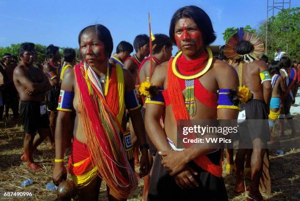 Kayapo Rirual 783 Kayapo Stock Photos, High-Res Pictures, and Images - Getty Images