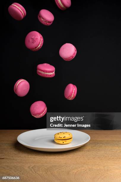 singled out - macaroon photos et images de collection