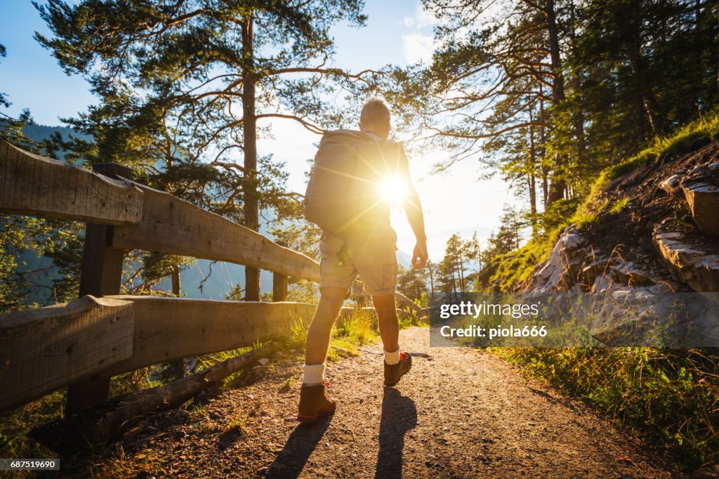 Sentiero dell'uomo anziano che escursioni in una foresta di montagna
