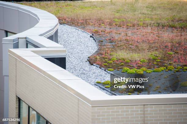 Green roof on a building in Rockville, Maryland, USA.
