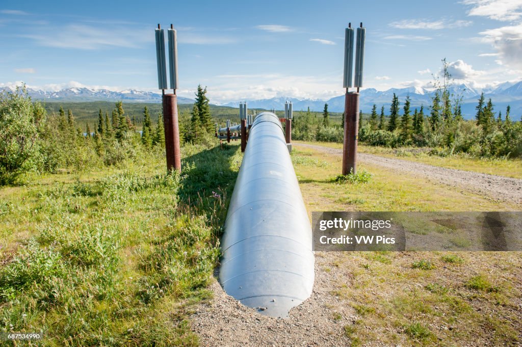 Trans-Alaska Pipeline (Alyeska pipleline) running through landscape with Mountain range in the distance in Alaska.