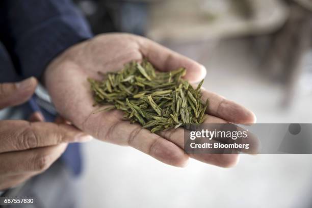 Farmer holds tea leaves in her palm for a photograph at a farm which supplies fowl and other fresh foods to Pifu Ecological Agriculture Ltd. Near...