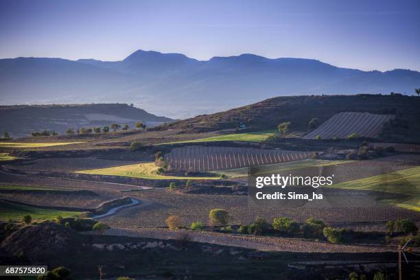 el pueblo de briones y campos. la rioja, españa - comunidad autónoma de la rioja fotografías e imágenes de stock