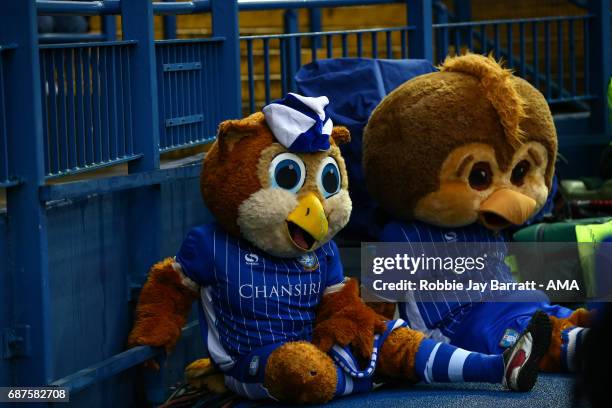 Sheffield Wednesday mascots watch the game during the Sky Bet Championship match between Sheffield Wednesday and Huddersfield Town at Hillsborough...