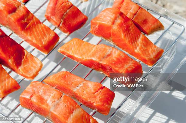 Raw Alaskan Salmon filets being prepared for smoking on grill..
