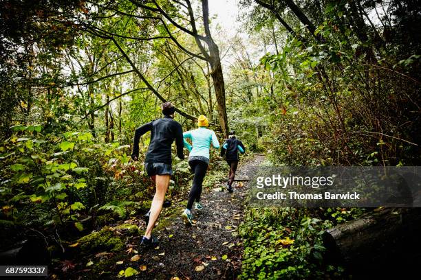 group of female friends running up forest trail - trailrunning stock pictures, royalty-free photos & images
