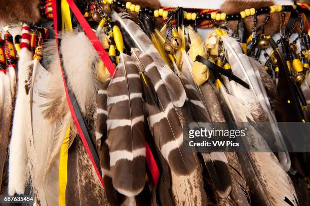 Feathers of the Lumbee Tribe Regalia.